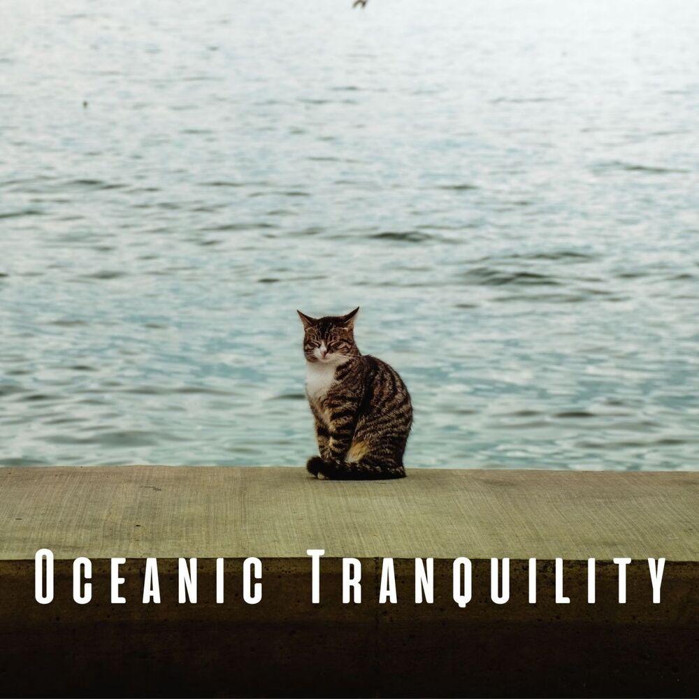 Picture of Oceanic Tranquility: Relaxing Sounds for Calm Cats