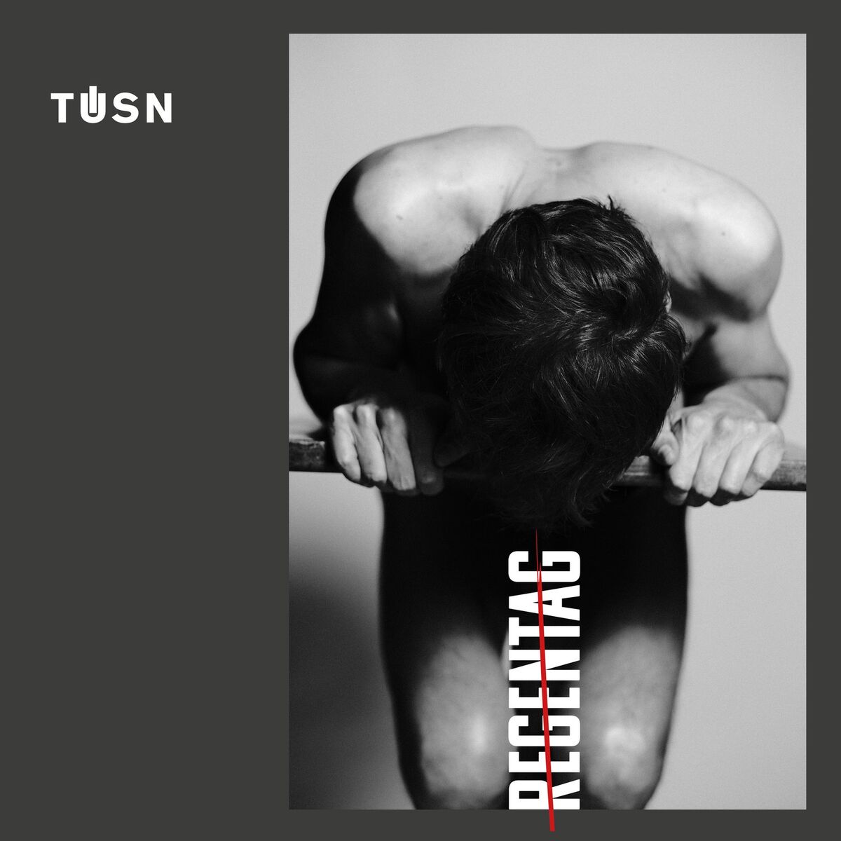 Album cover of Regentag