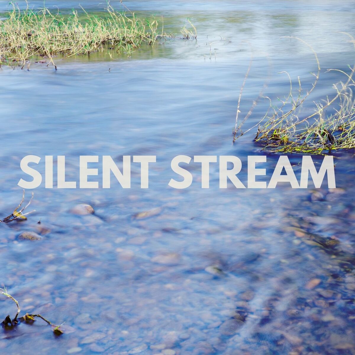 Album cover of Silent Stream