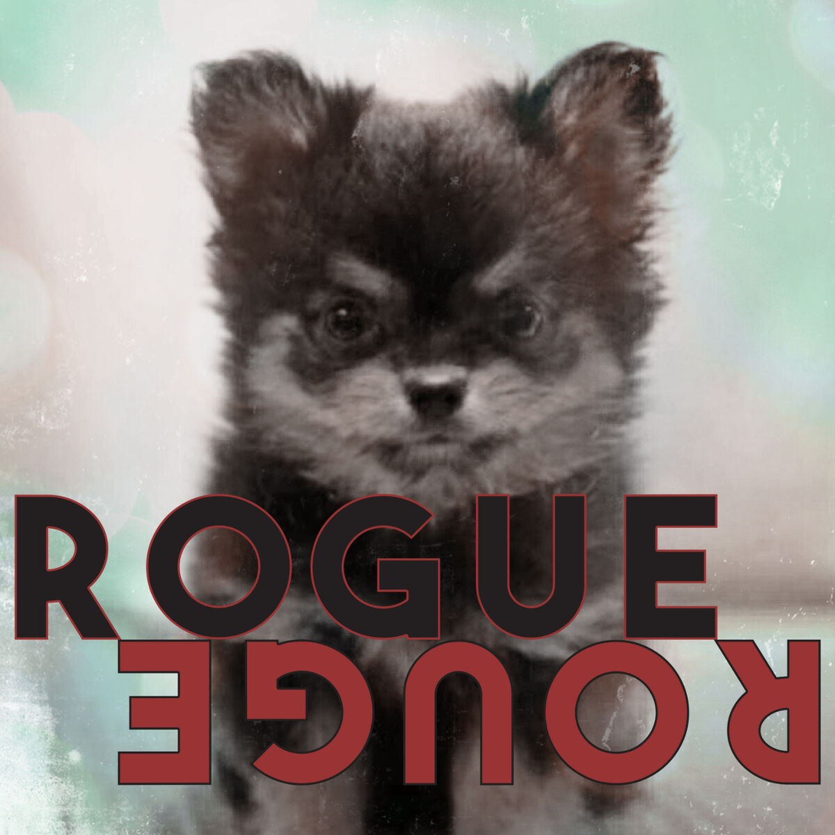 Album cover of Rogue Rouge