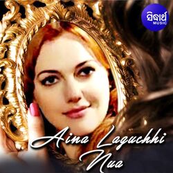 Cover of Aina Laguchhi Nua