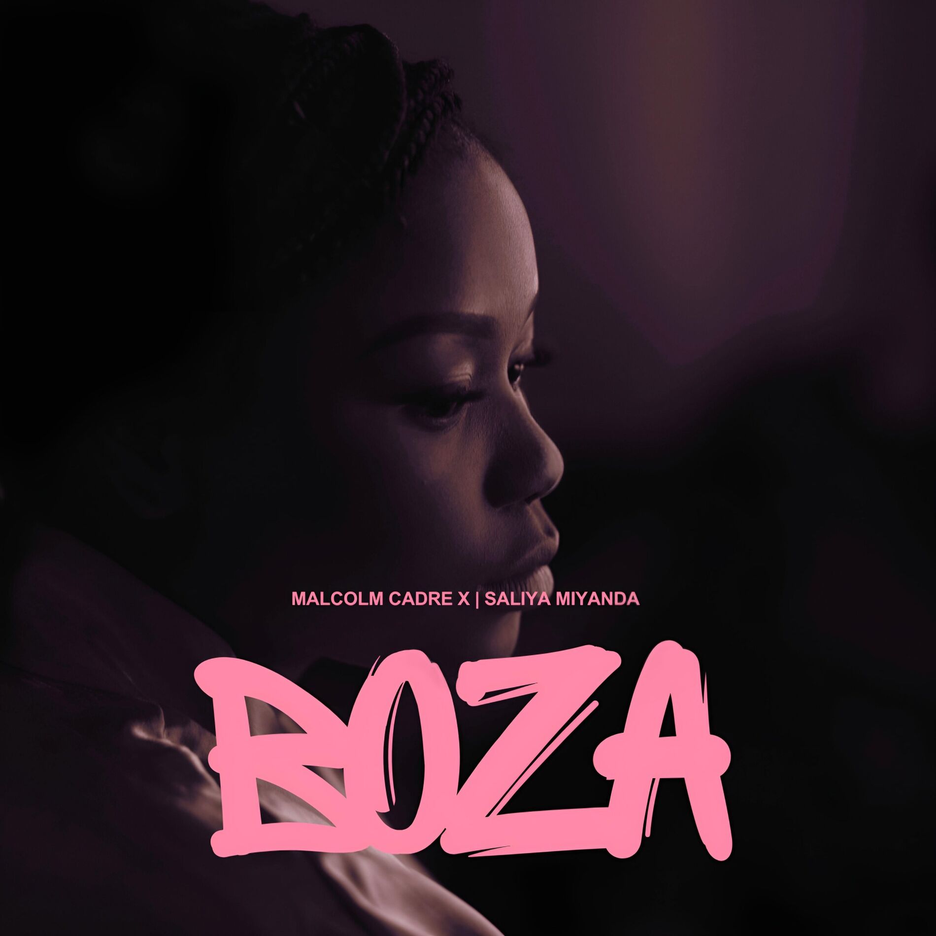 Album cover of Boza (Lies)
