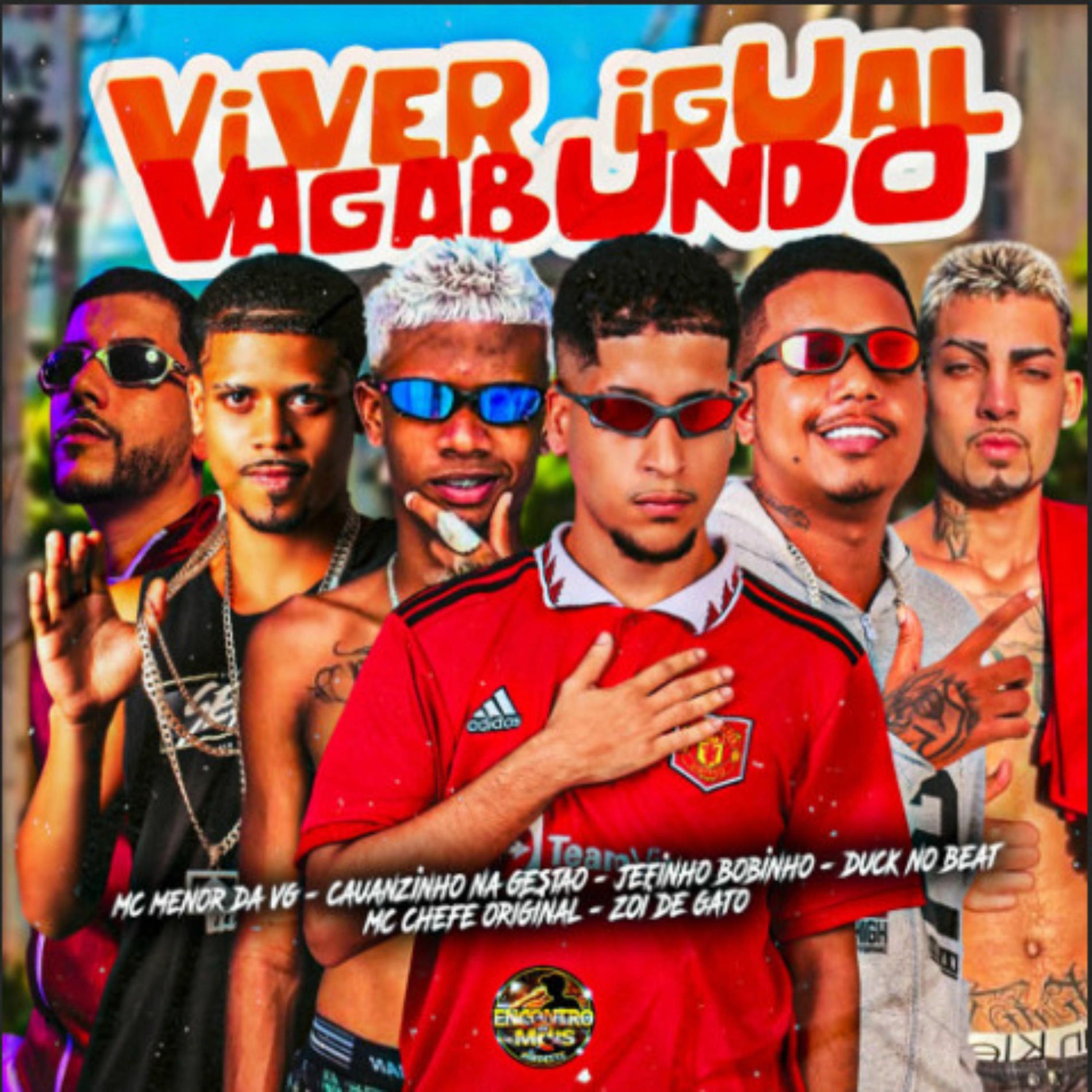 Album cover of Viver Igual Vagabundo