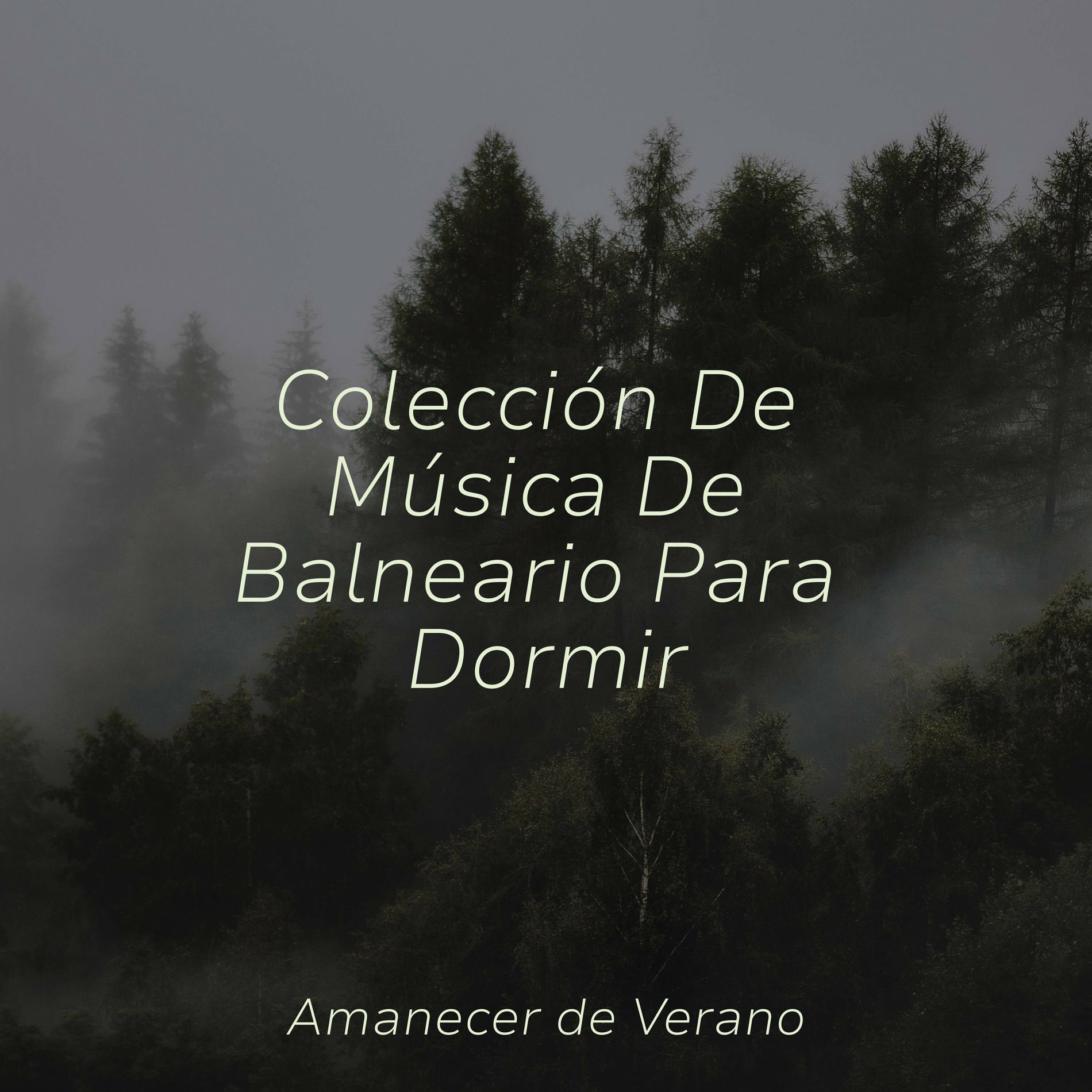 Album cover of Colección De Música De Balneario Para Dormir