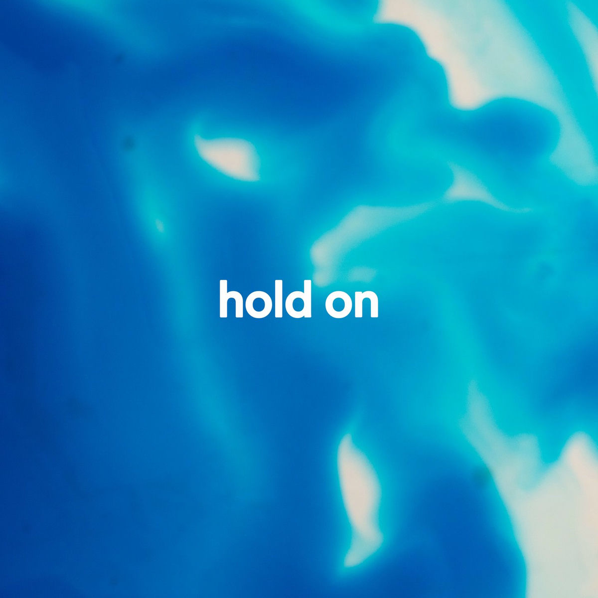 Album cover of hold on