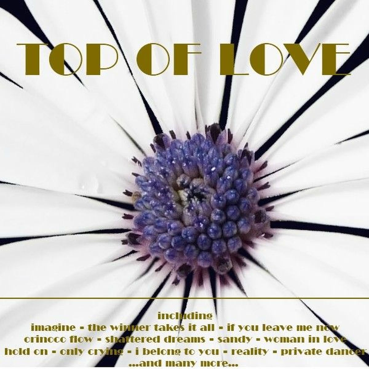 Album cover of Top of Love