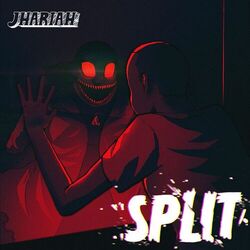 Cover of SPLIT!
