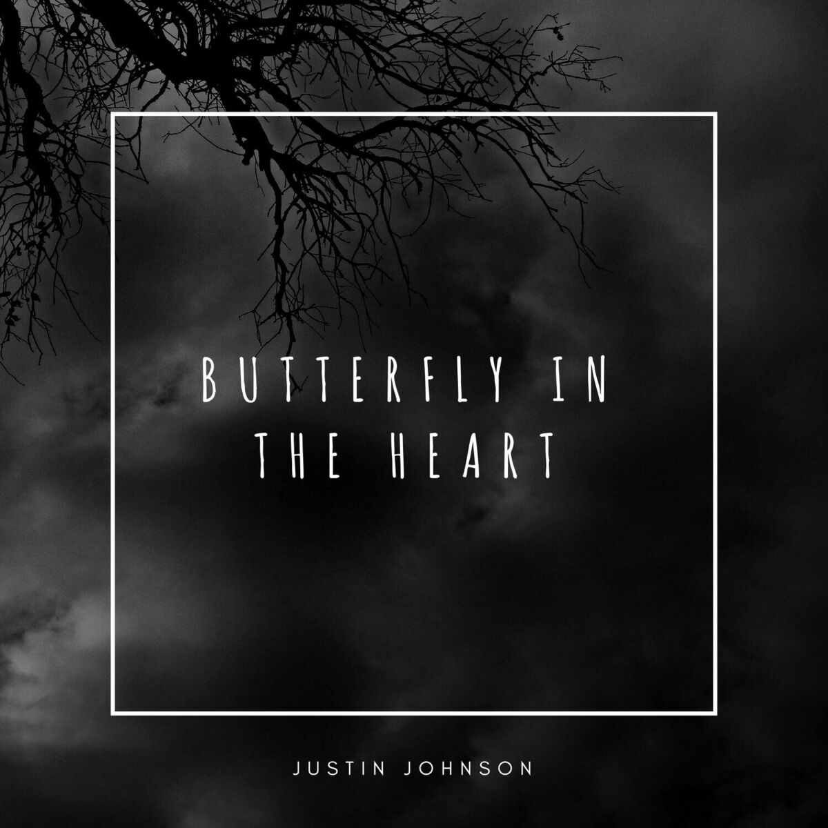Album cover of Butterfly in the Heart