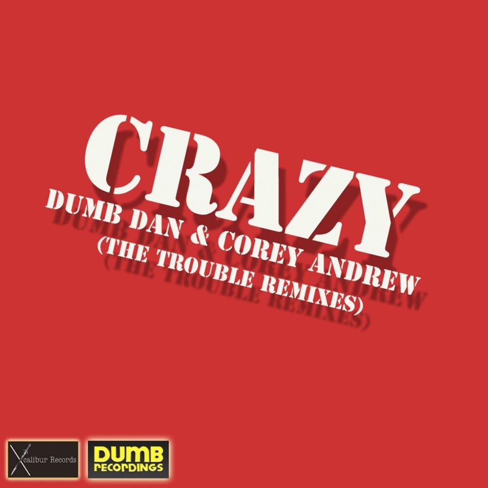 Picture of Crazy-the Trouble Remixes