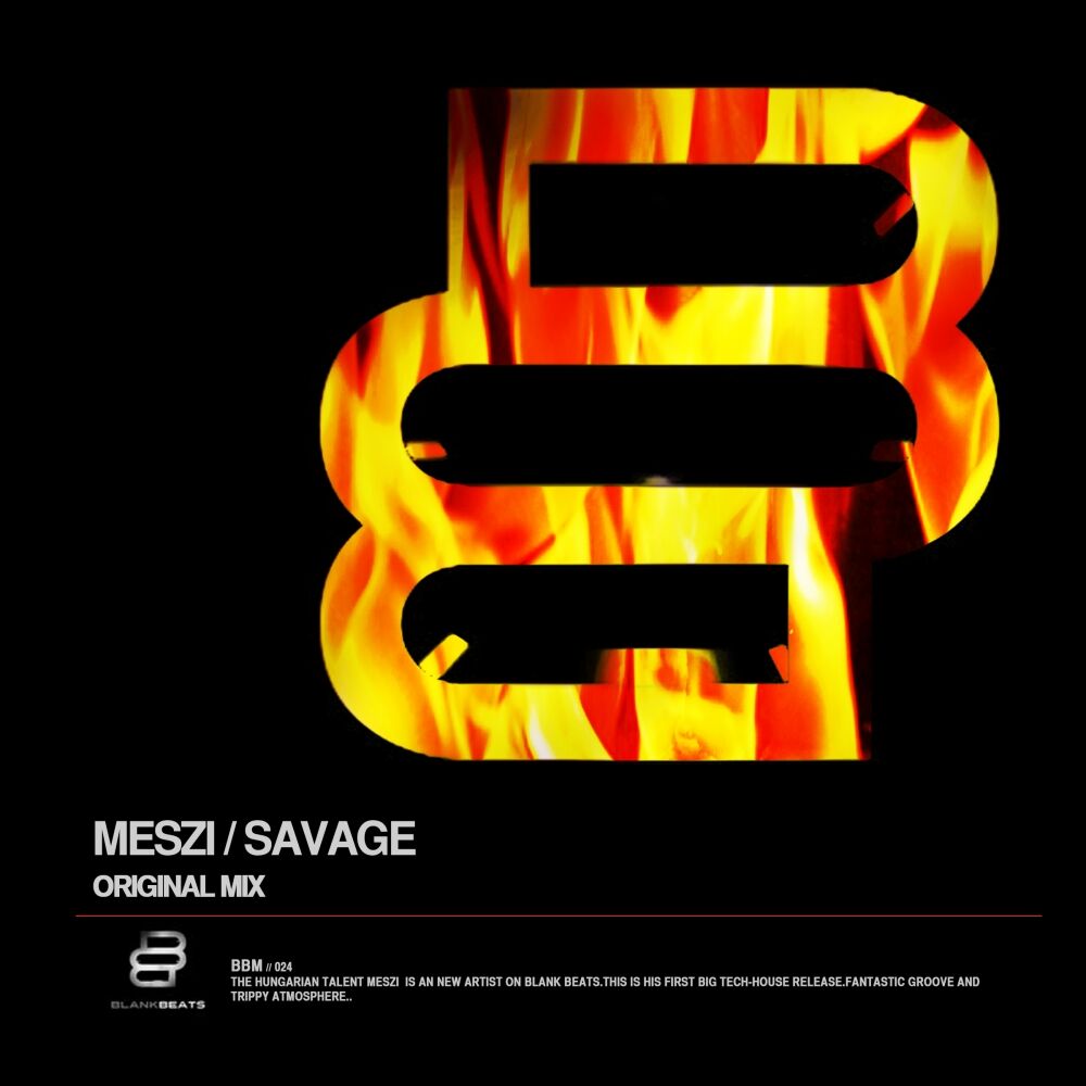 Picture of Savage (Original Mix)
