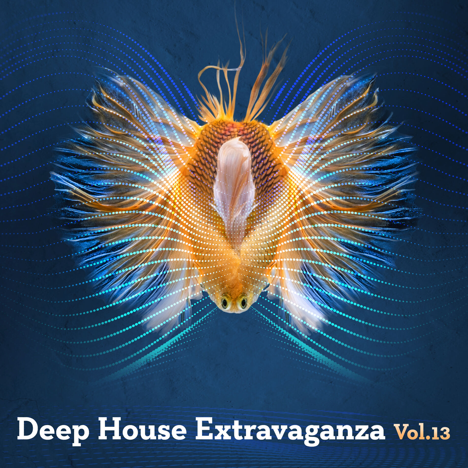 Album cover of Deep House Extravaganza, Vol.13