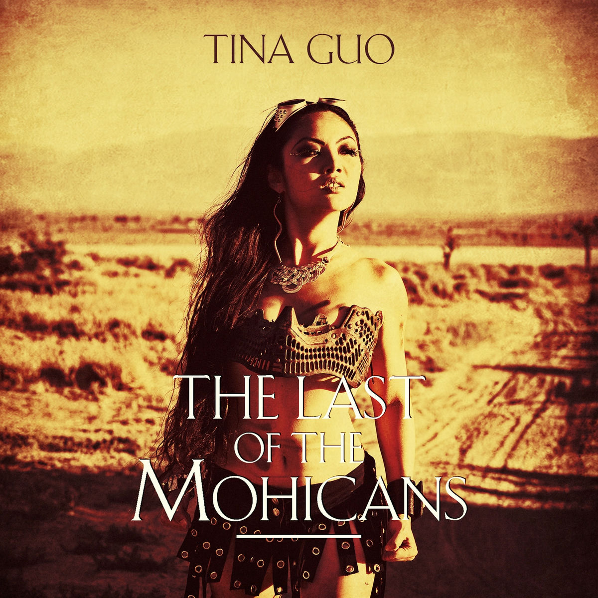 Album cover of The Gael (Promontory From The Last of the Mohicans)