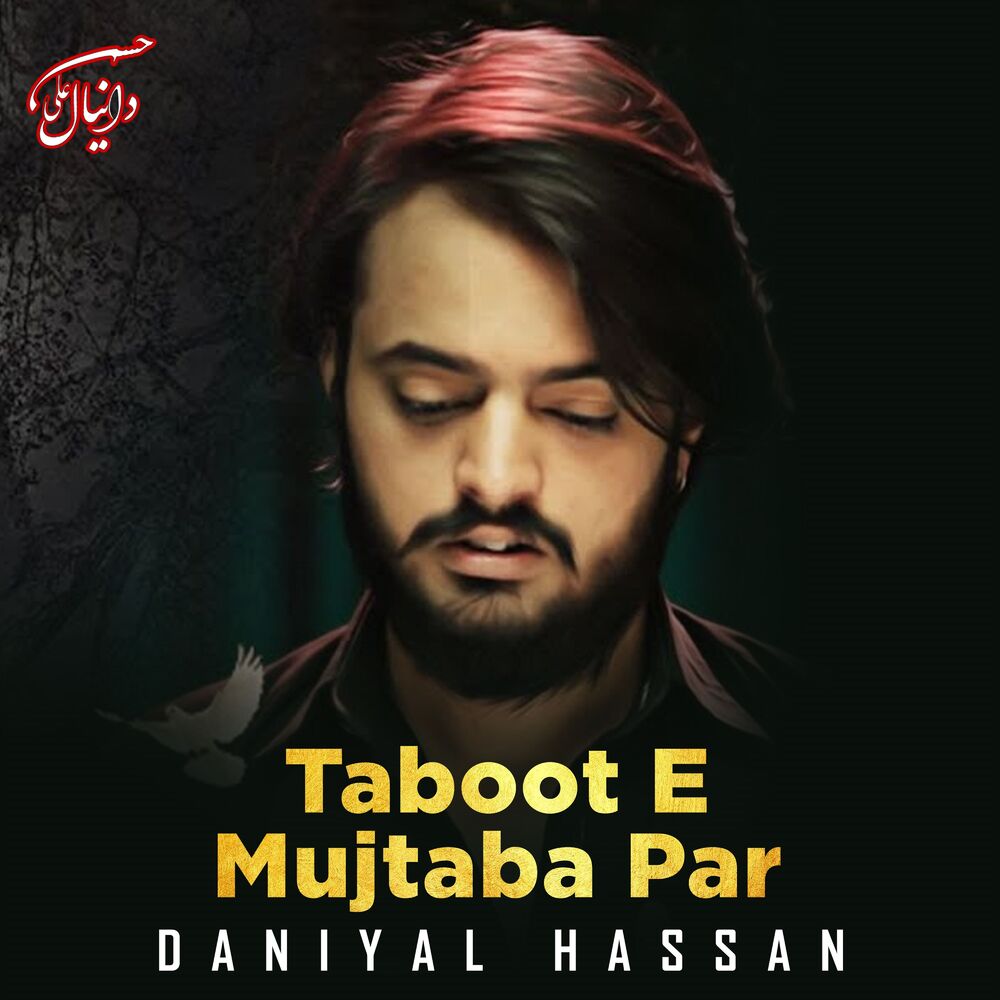 Picture of Taboot E Mujtaba Par