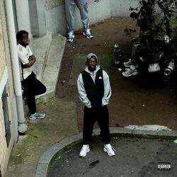 Cover of BELLINGHAM