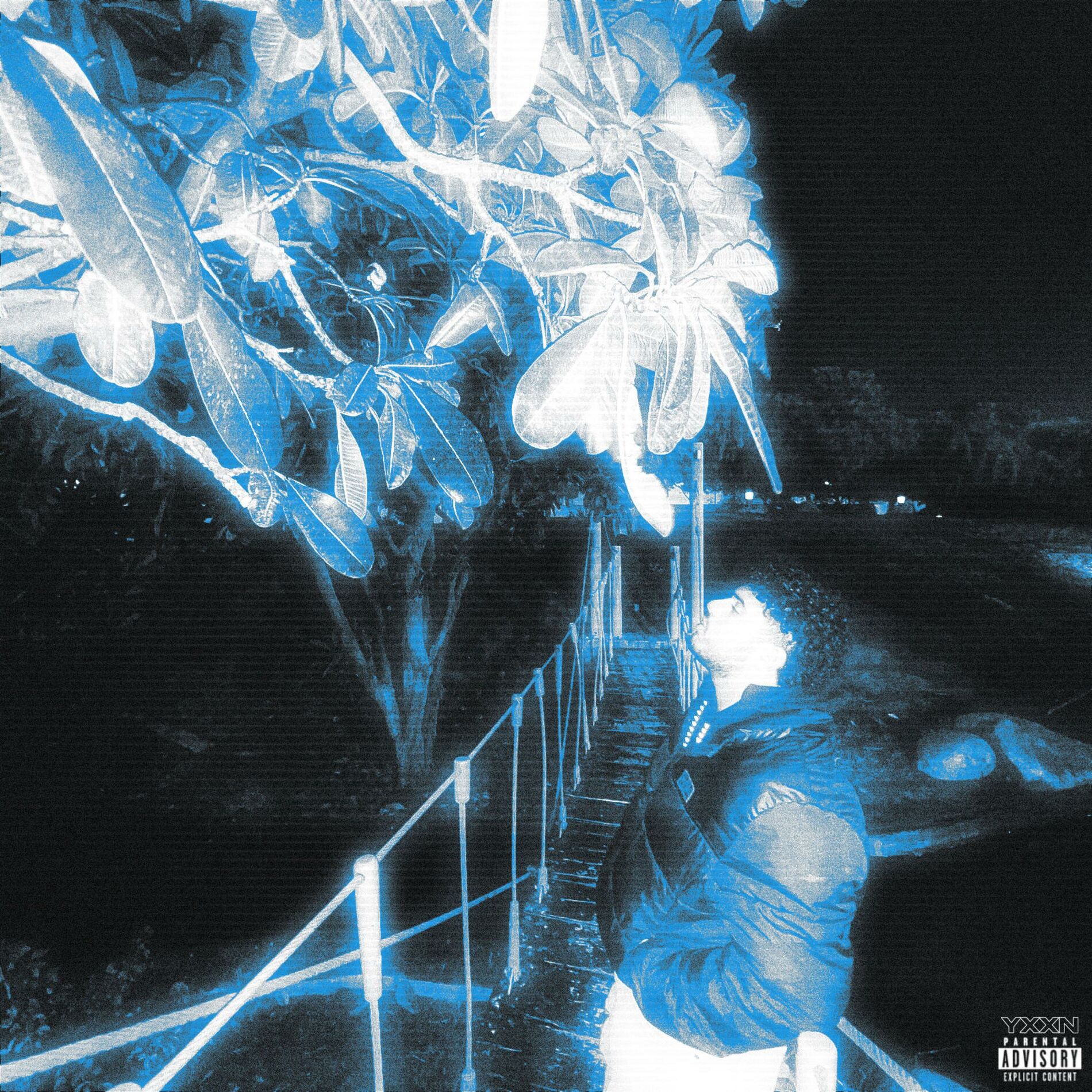 Album cover of AW8AD