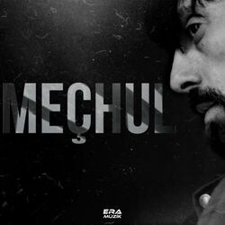 Cover of Meçhul