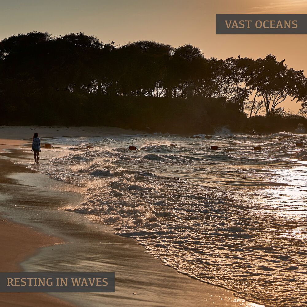 Picture of Resting in Waves