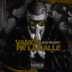 Cover of Vamos Pa' la Calle