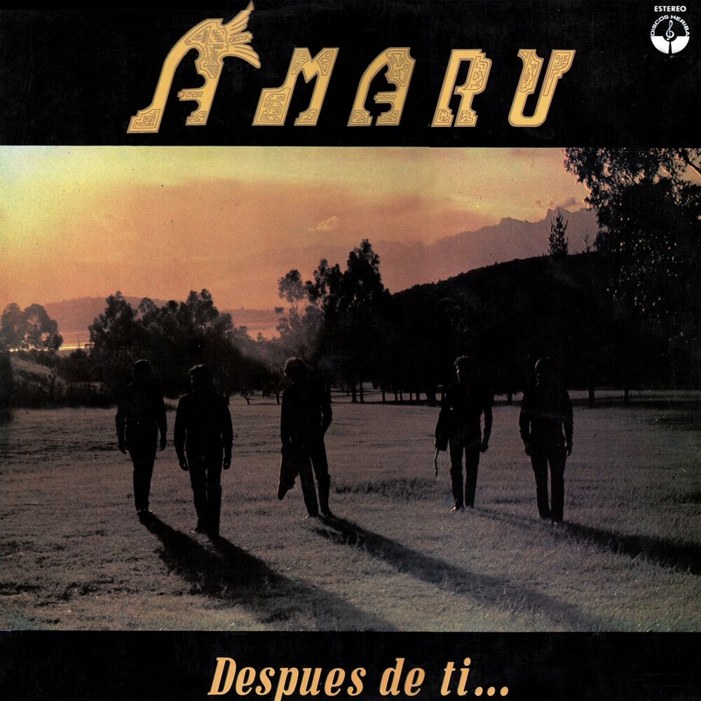 Picture of Después de Ti... (Música Andina Boliviana)