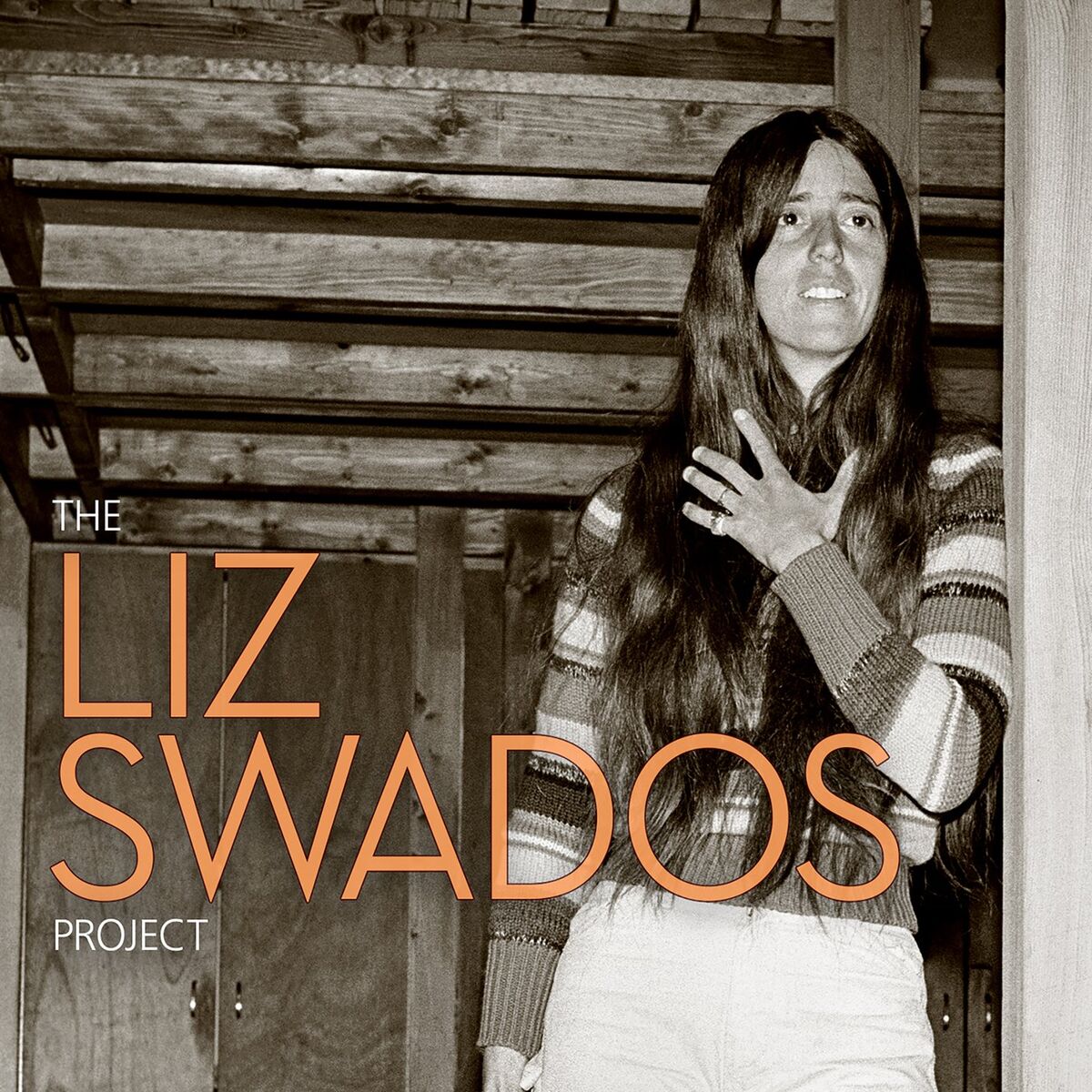 Album cover of The Liz Swados Project