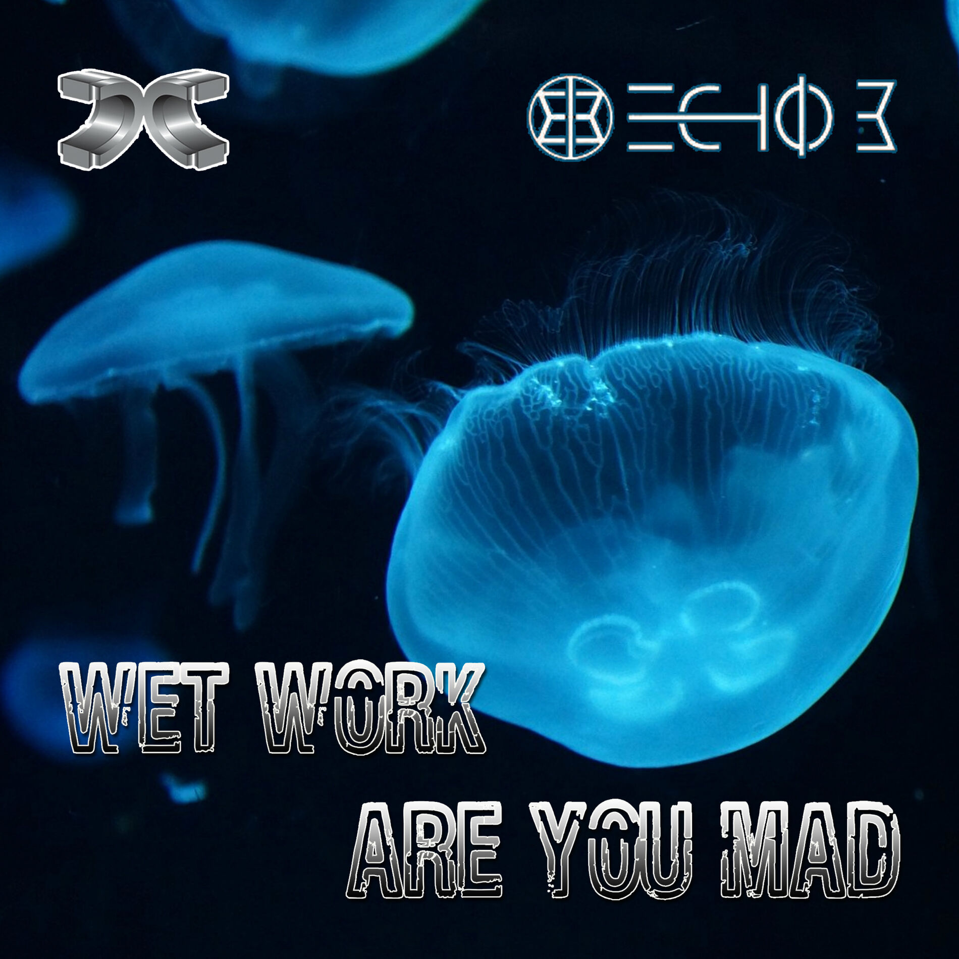 Album cover of Wet Work / Are You Mad