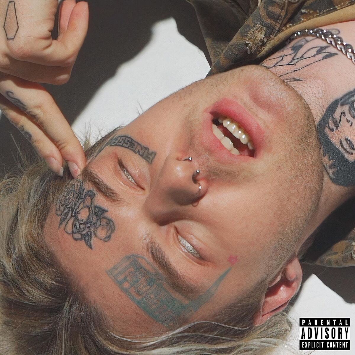 Album cover of X