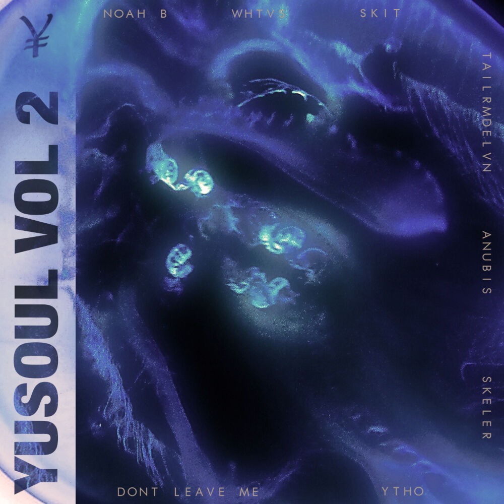 Picture of Yusoul Vol 2