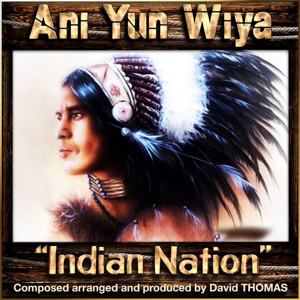 Picture of Ani Yun Wiya (Indian Nation)