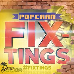 Cover of Fix Tings