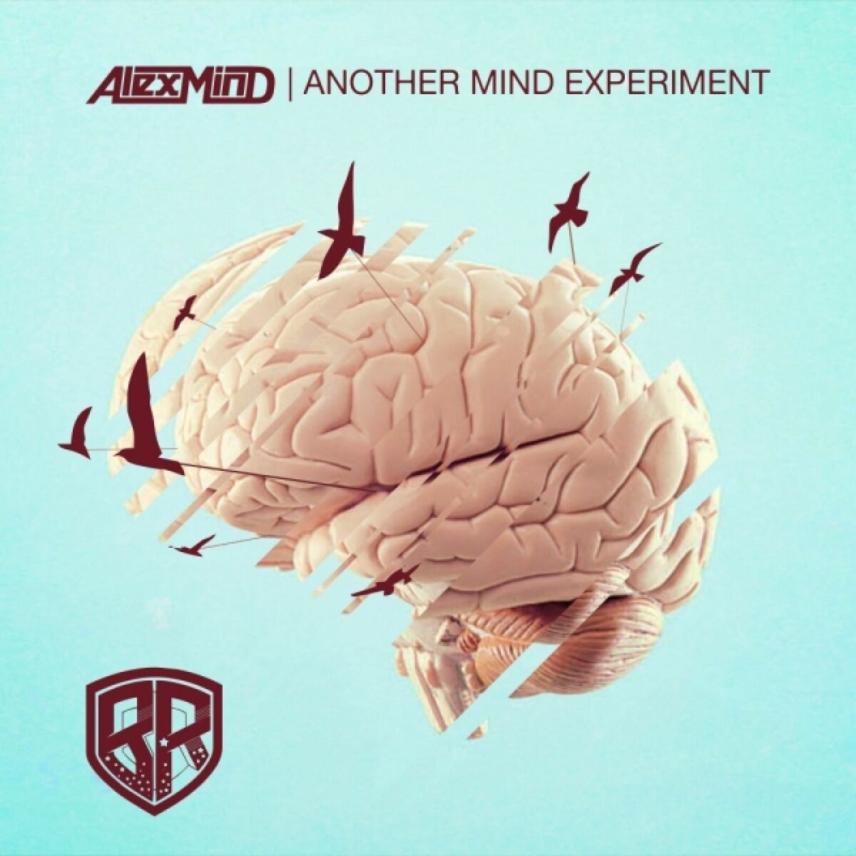 Album cover of Another Mind Experiment