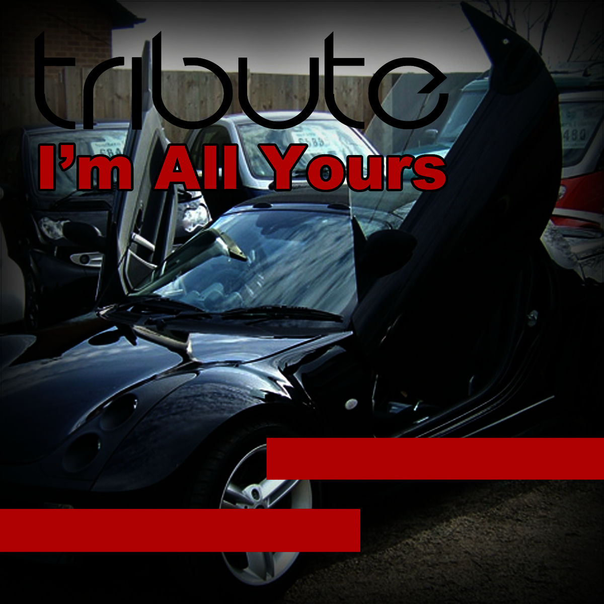 Album cover of I'm All Yours (Jay Sean Feat. Pitbull Tribute)