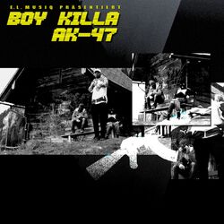 Cover of AK-47