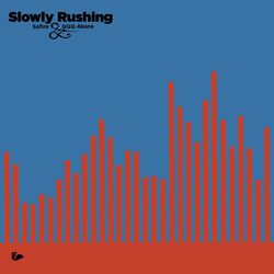 Cover of Slowly Rushing