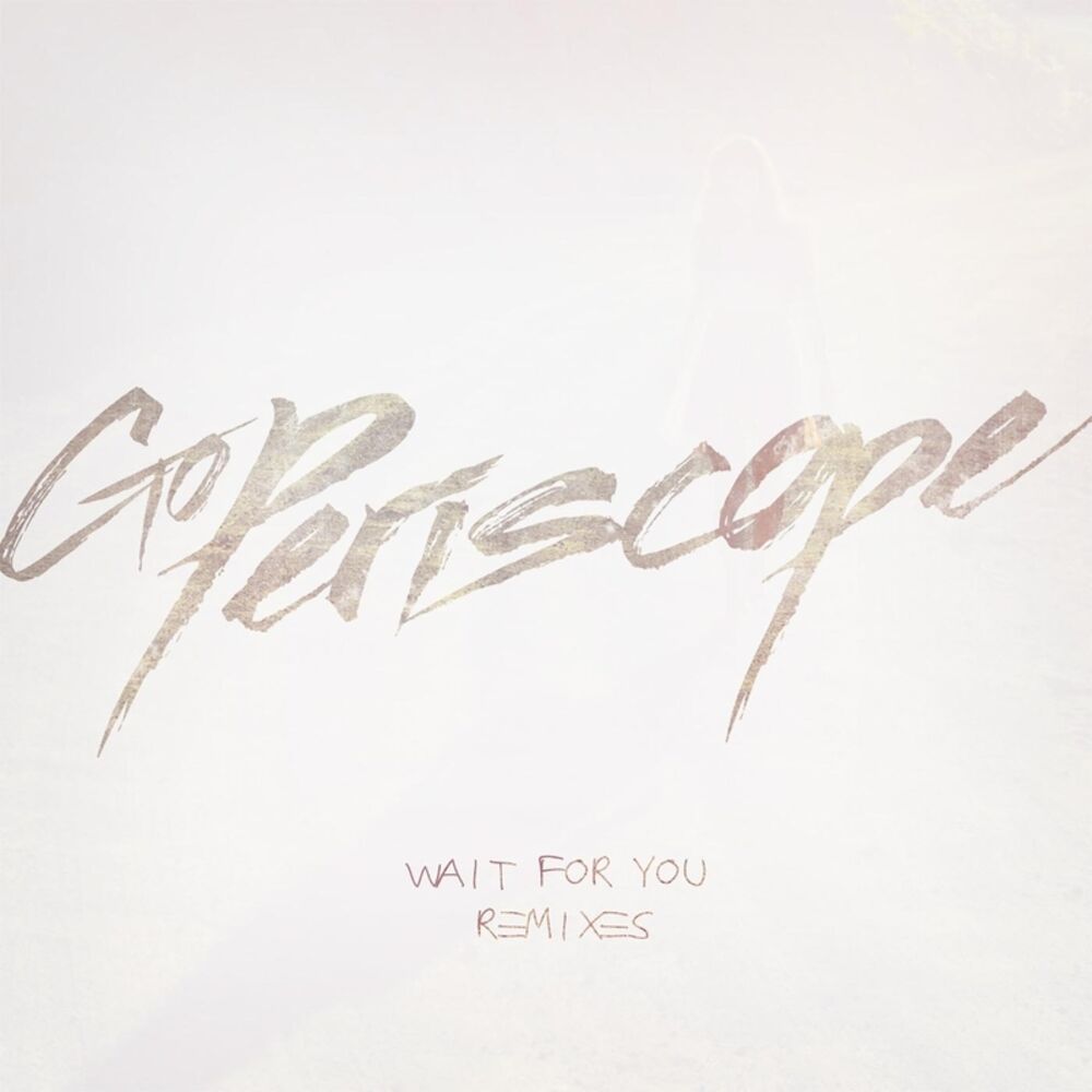 Picture of Wait for You Remixes