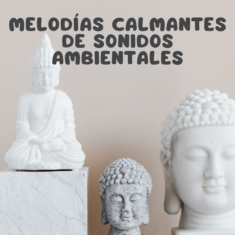 Picture of Melodías calmantes de sonidos ambientales