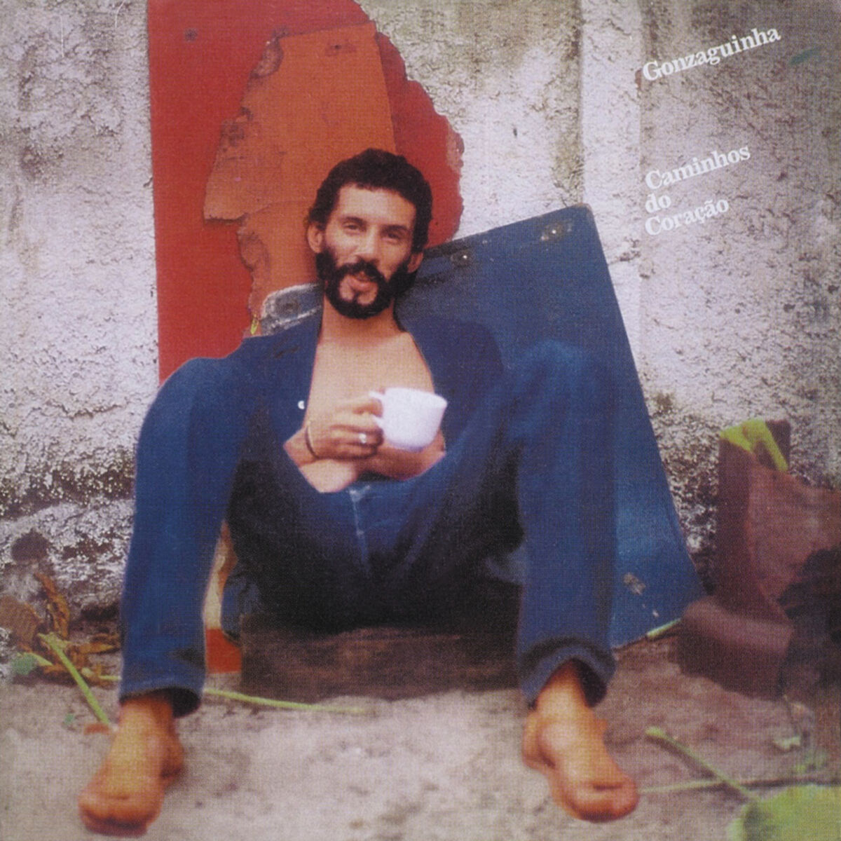 Album cover of Maravida