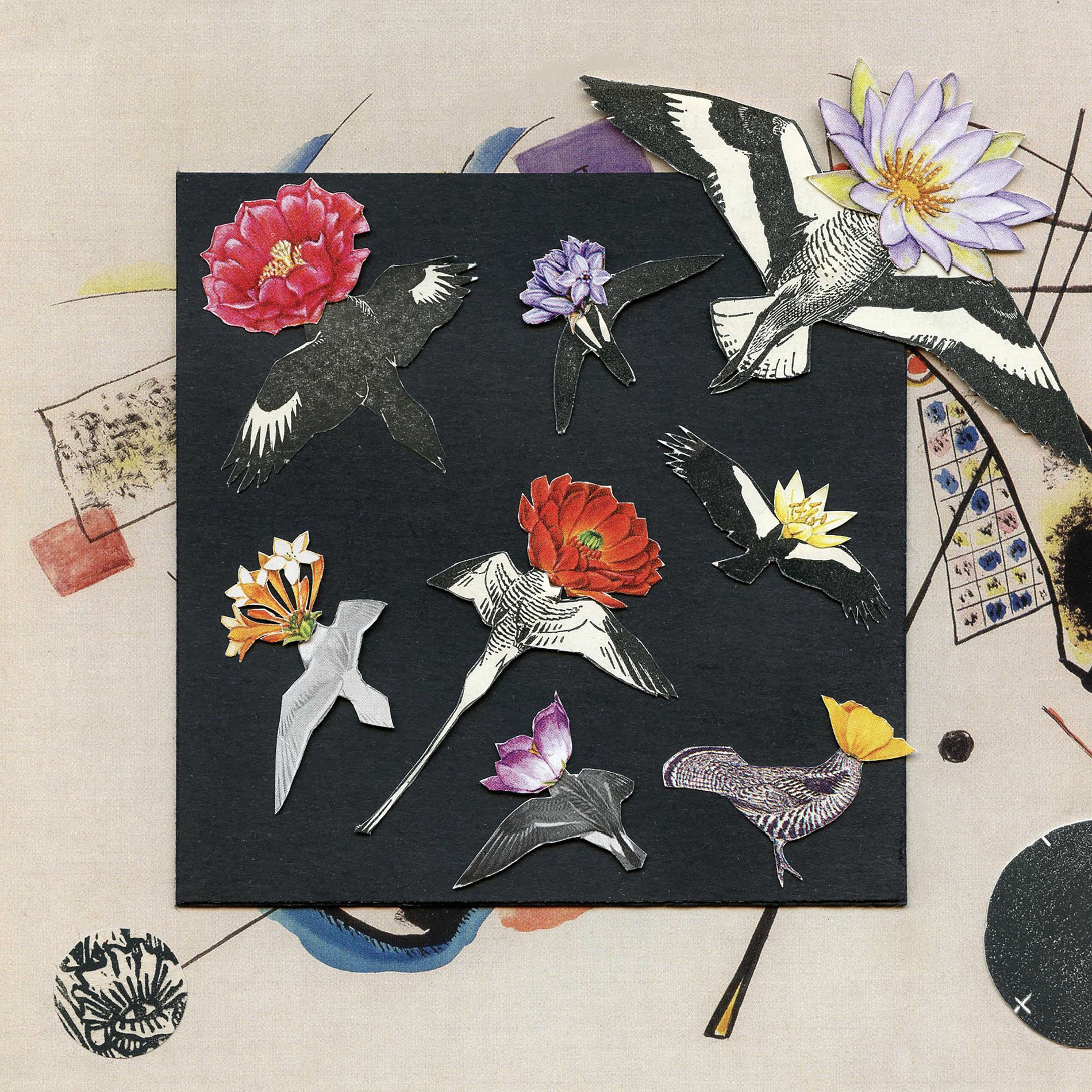 Album cover of Alula: Captivity