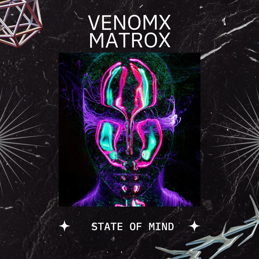 Picture of State of Mind
