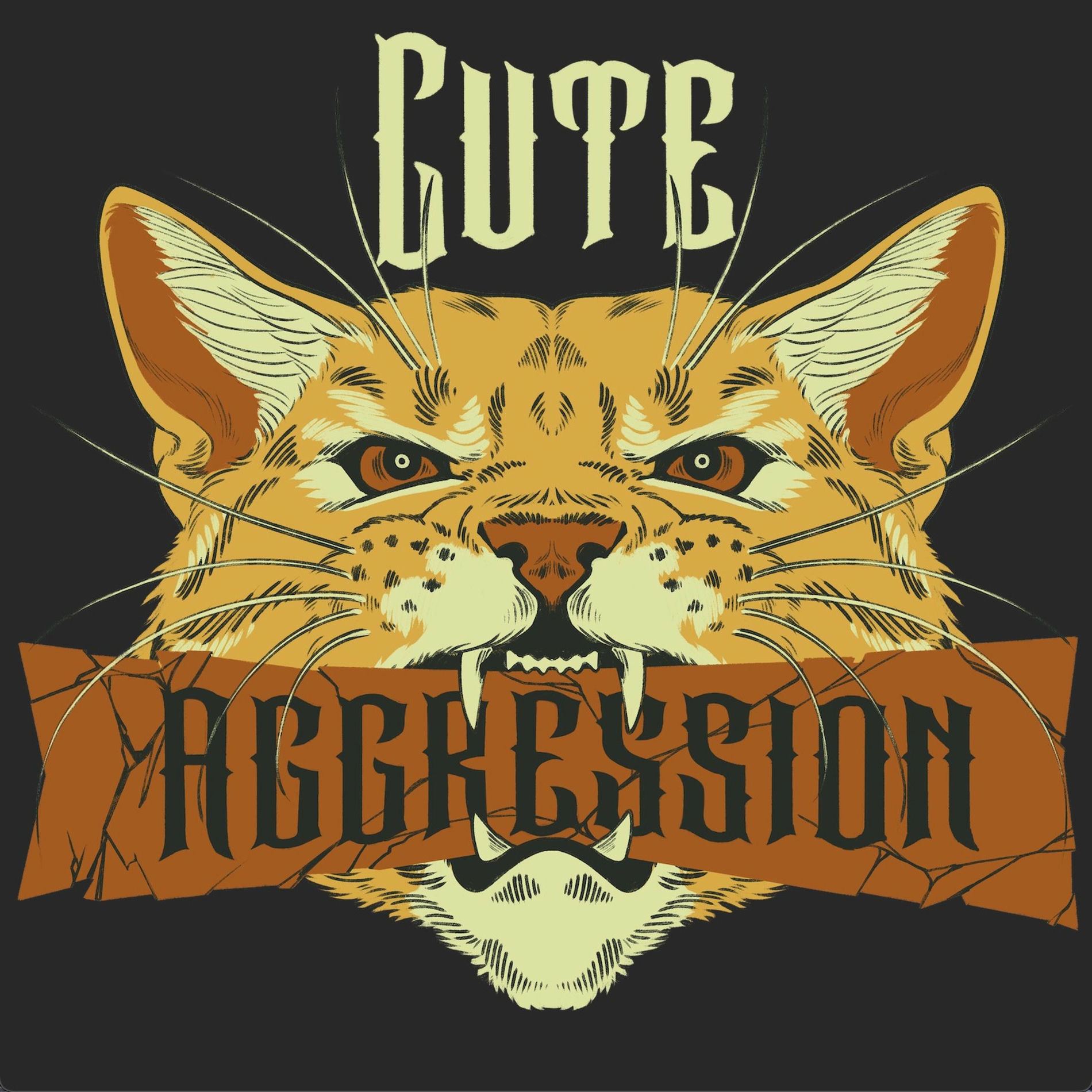 Album cover of Cute Aggression (2025 Version)