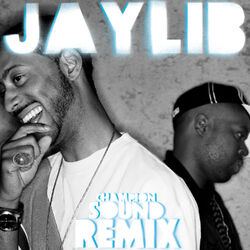 Cover of Champion Sound: The Remix