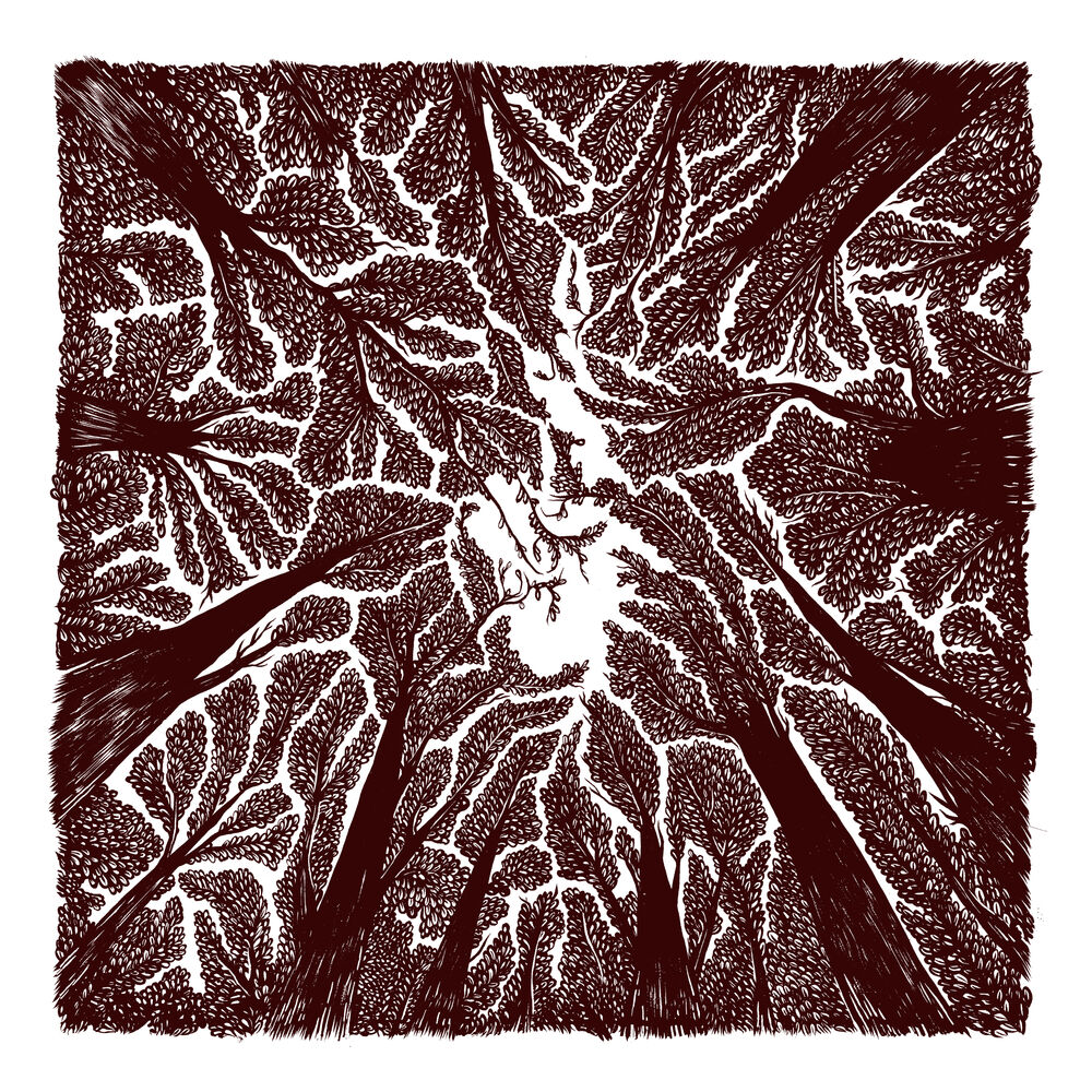 Picture of Shade
