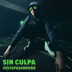 Cover of SIN CULPA