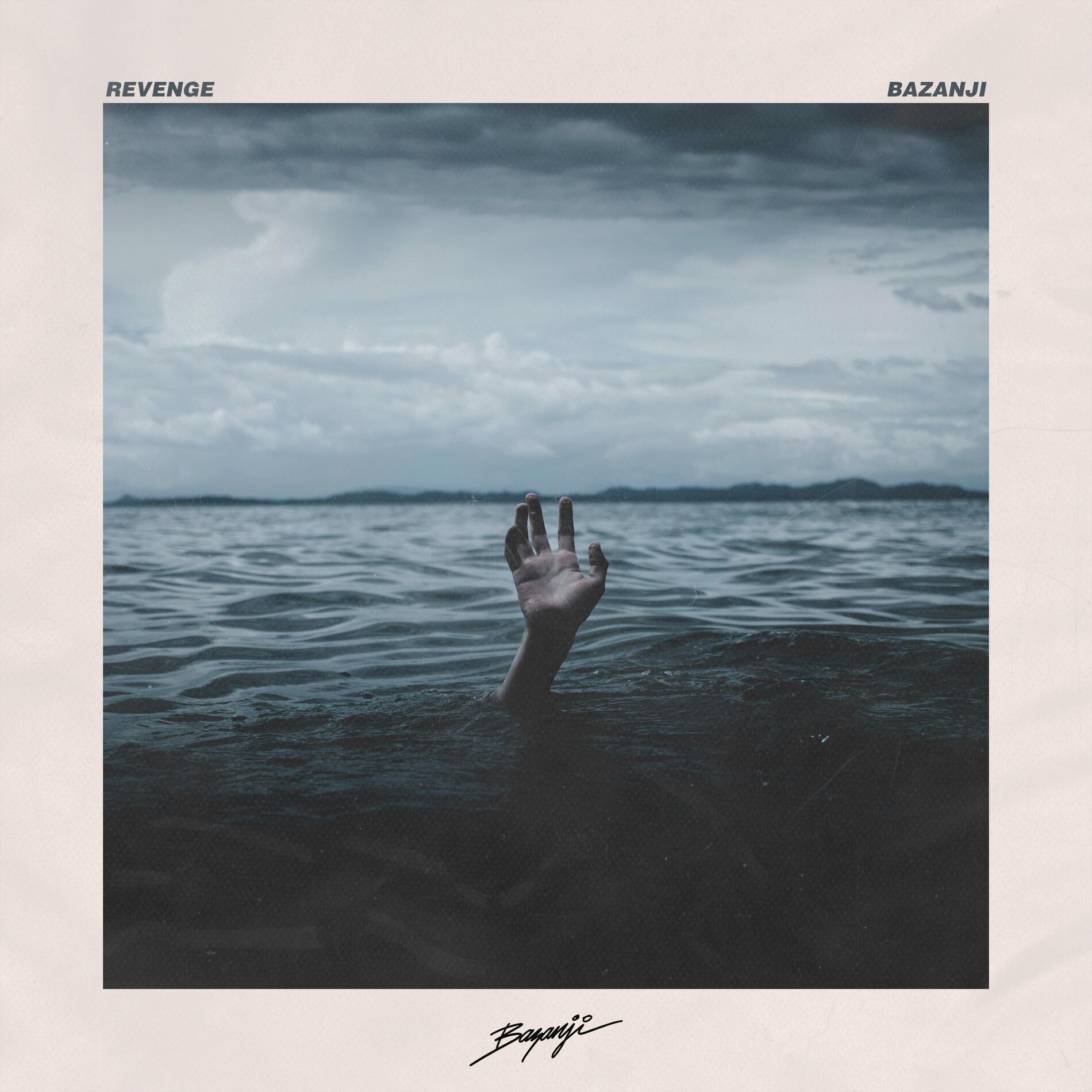 Album cover of REVENGE