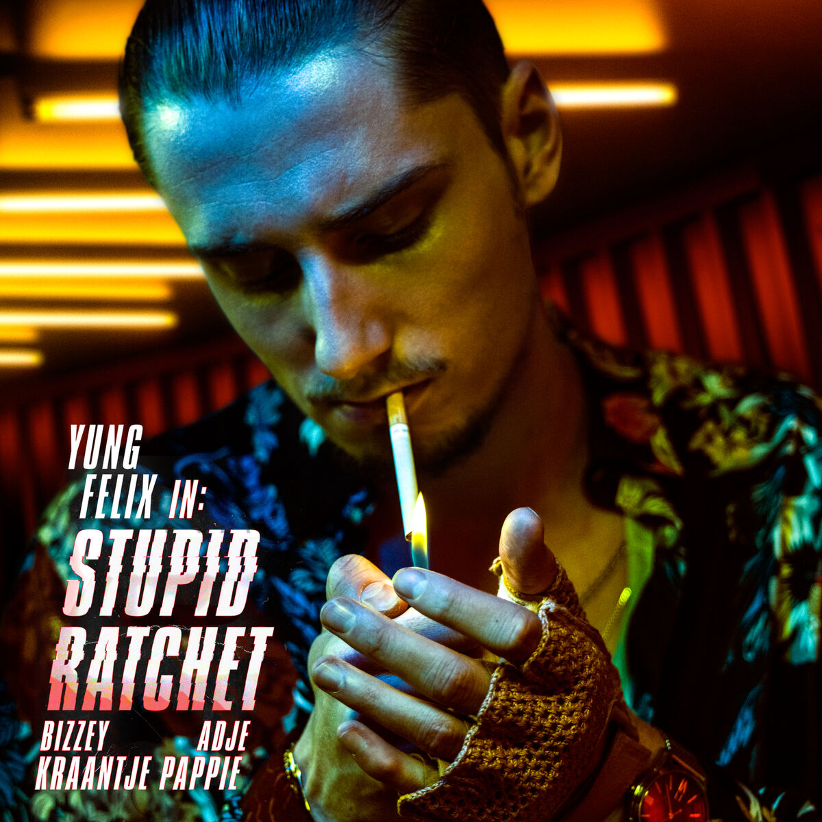 Album cover of Stupid Ratchet