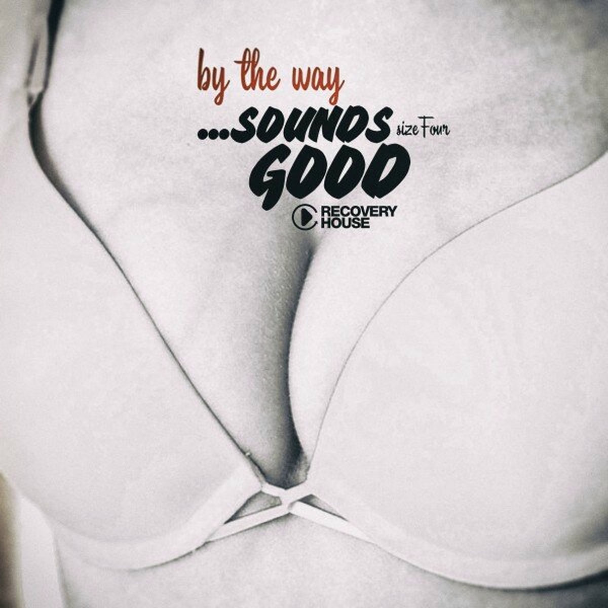 Album cover of By the Way...Sounds Good, Size Four