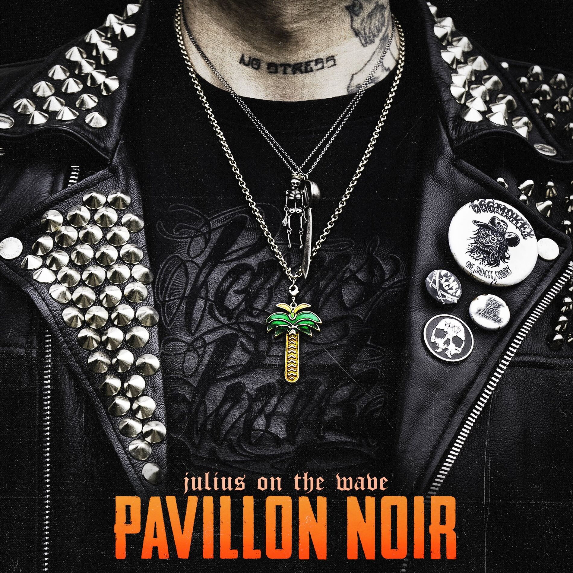 Album cover of PAVILLON NOIR
