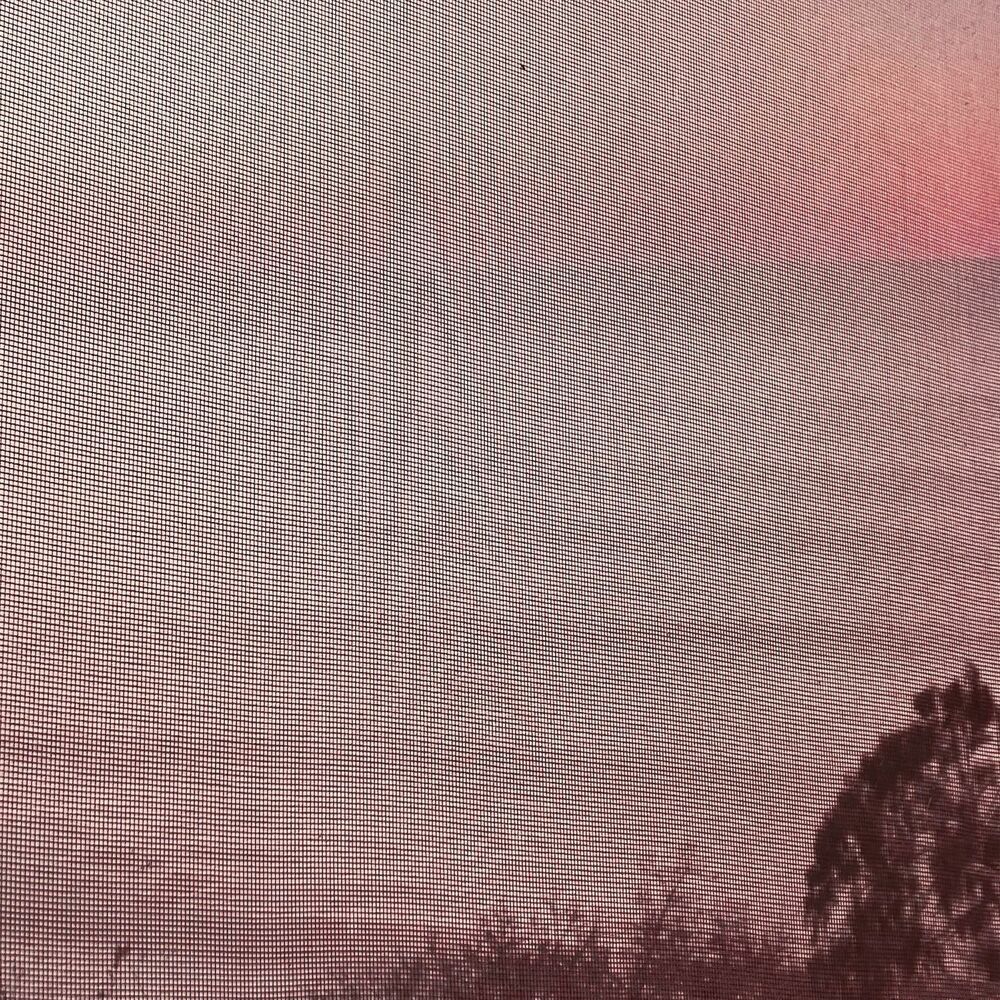 Picture of Tranquility