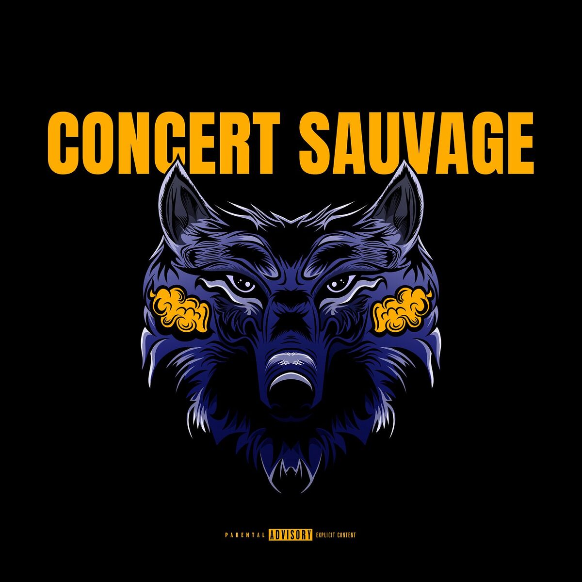 Album cover of CONCERT SAUVAGE