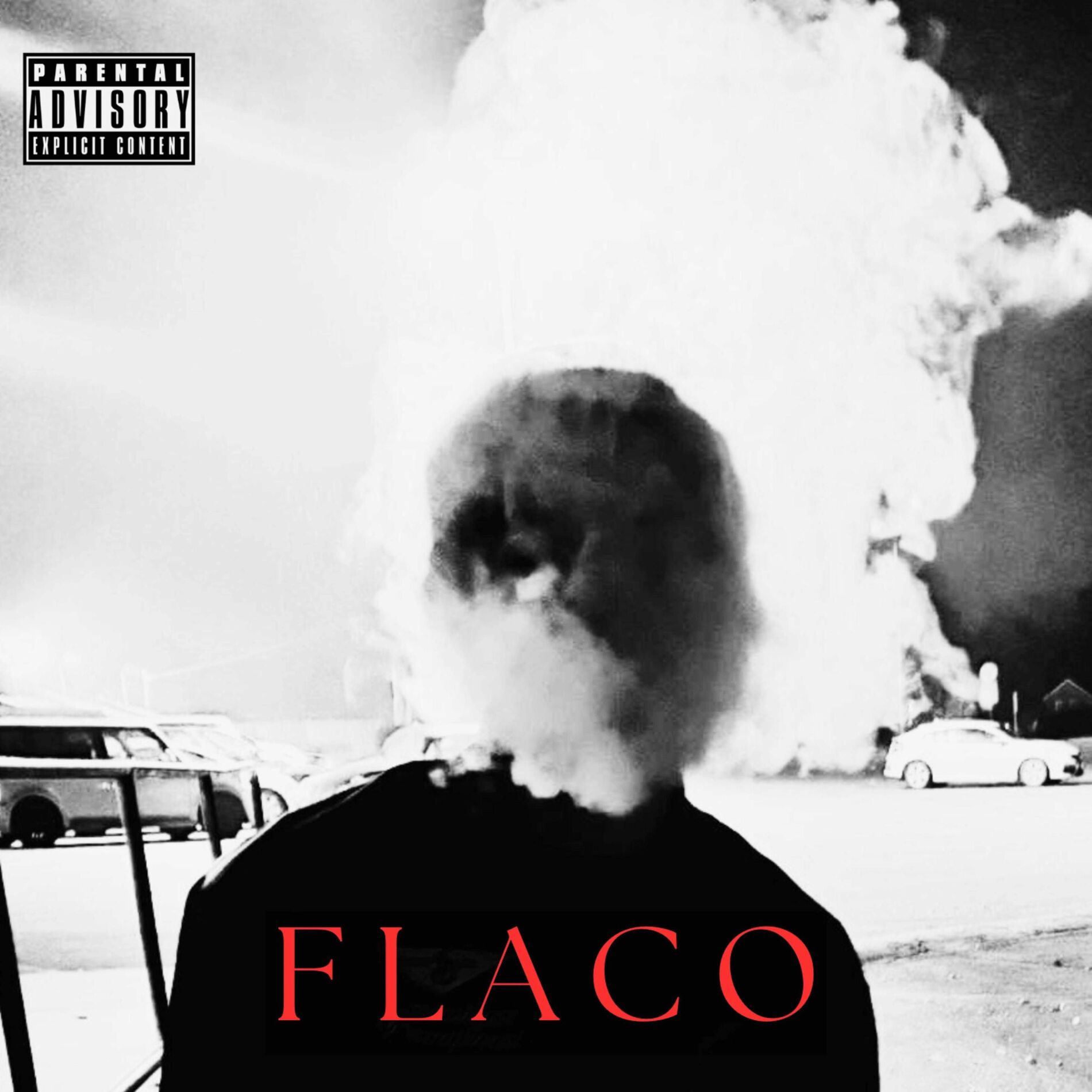 Album cover of FLACO