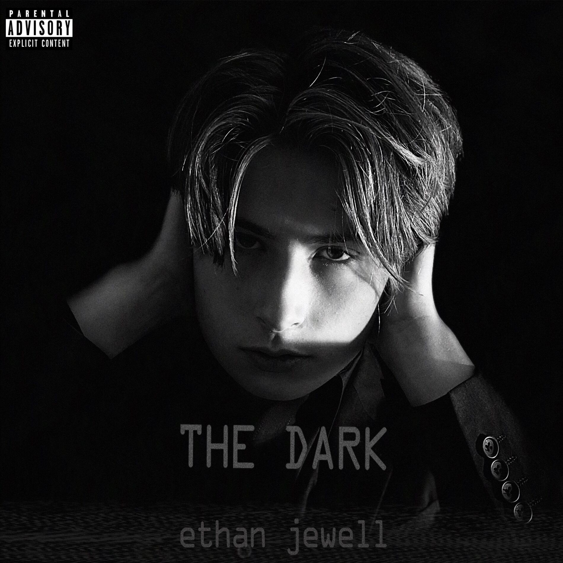 Album cover of The Dark